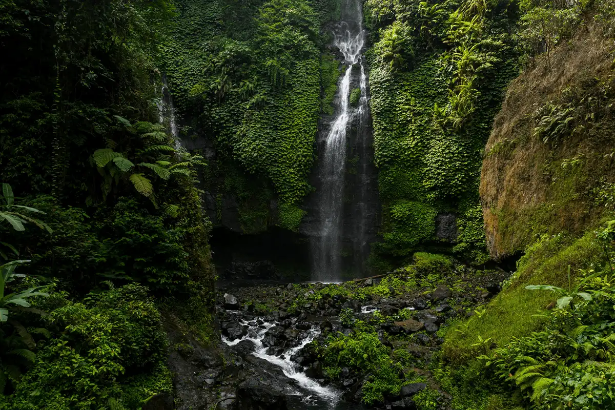 Beautiful waterfall in nature